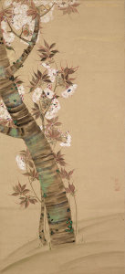 Oda Shitsushitsu - Blossoming Cherry Tree, late 1600s – early 1700s