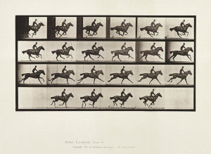 Eadweard Muybridge - Animal Locomotion Plate 625: Horse galloping, 1880s