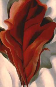 Georgia O'Keeffe - Large Dark Red Leaves on White, 1925